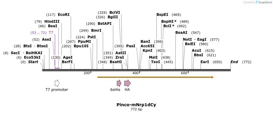 27733_map