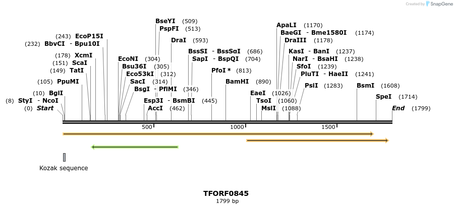 277330_map