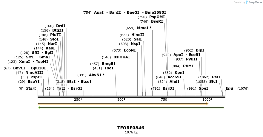 277333_map