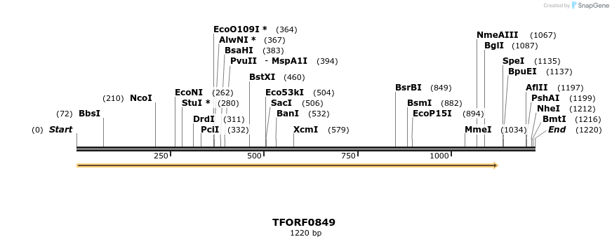 277336_map
