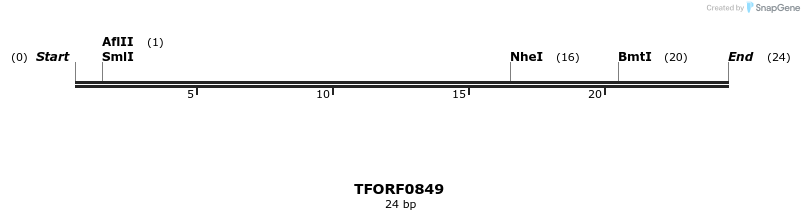 277337_map