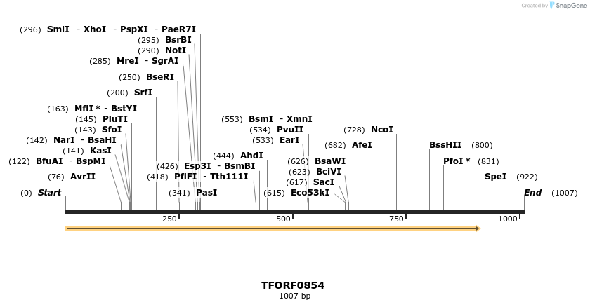 277339_map