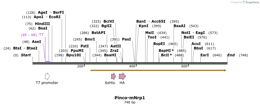 27734_map