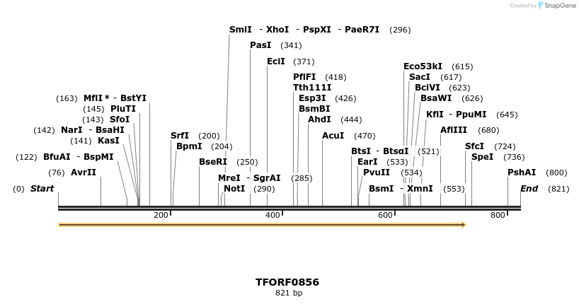 277345_map