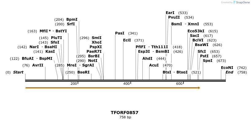277348_map