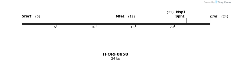 277352_map