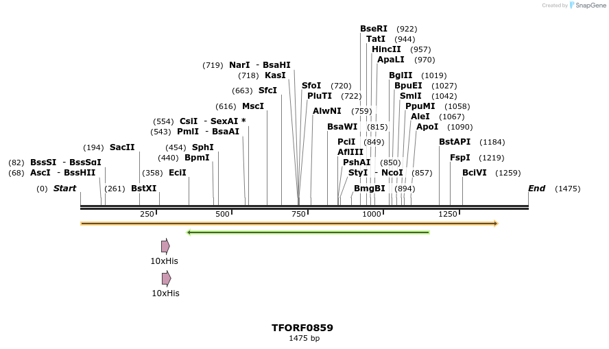 277354_map
