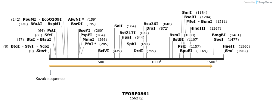277357_map
