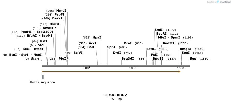 277360_map