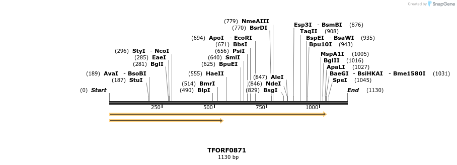 277363_map