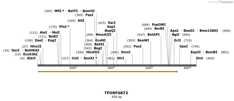 277366_map