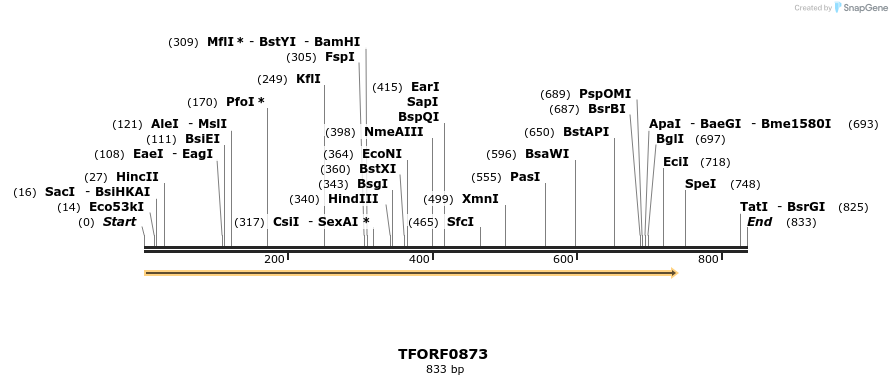277369_map