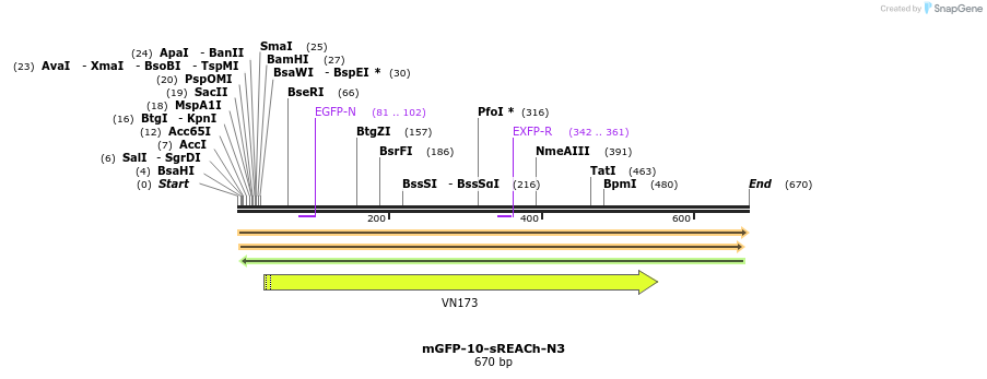 27737_map