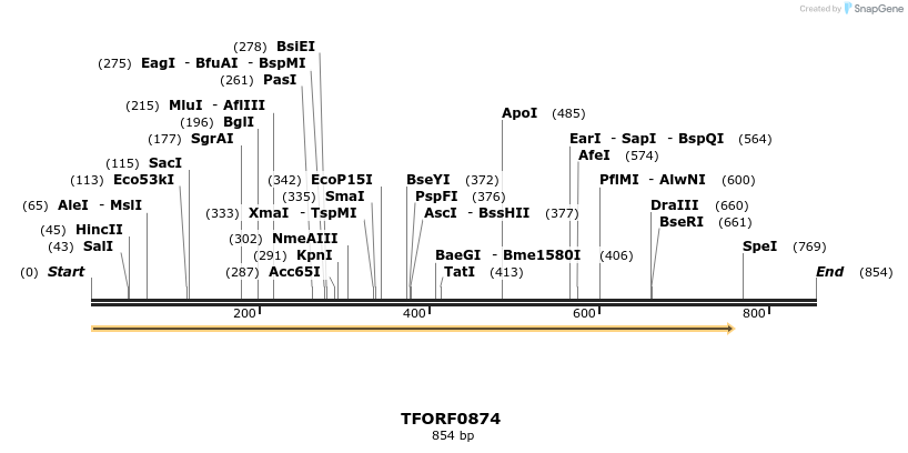 277372_map
