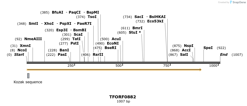 277381_map