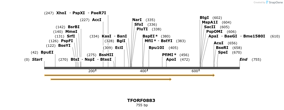 277384_map