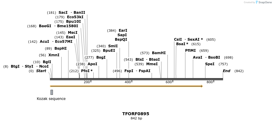 277387_map