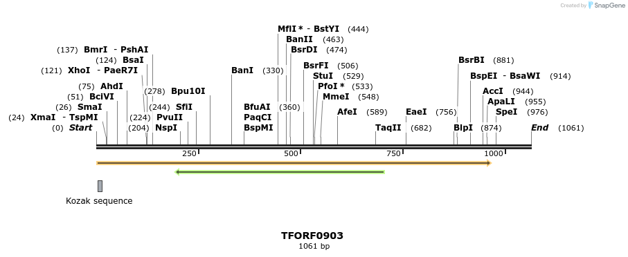 277393_map