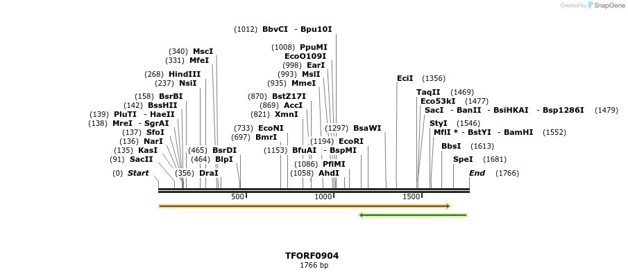 277396_map