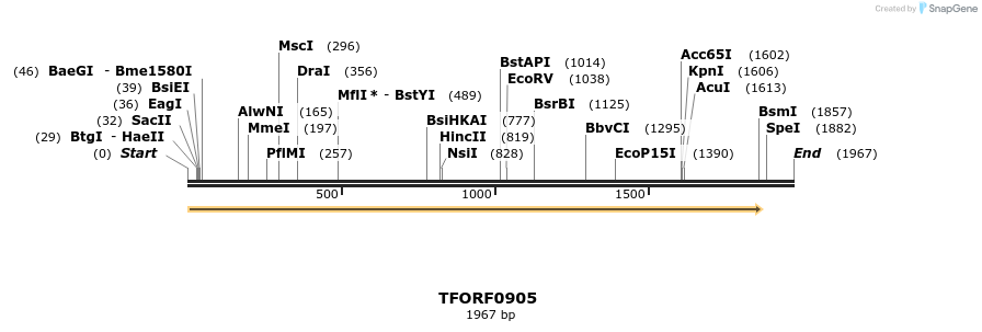 277399_map