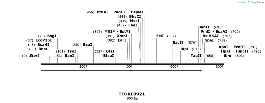 277402_map