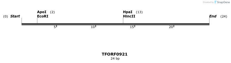 277403_map
