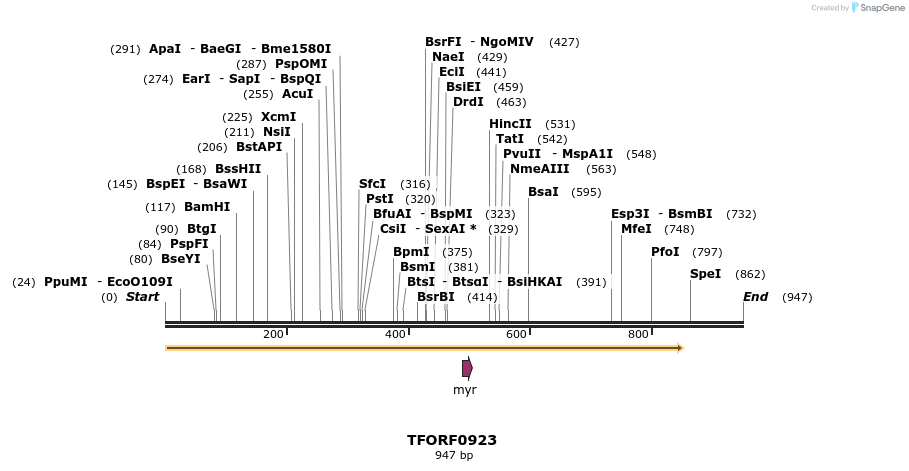277405_map