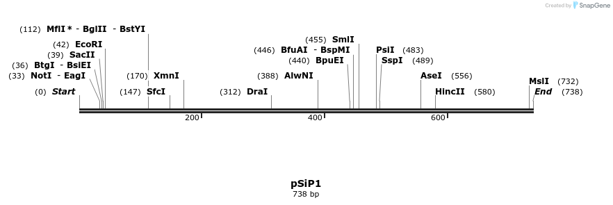 27741_map