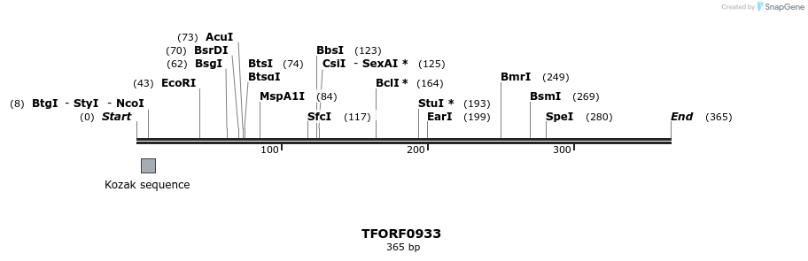 277411_map
