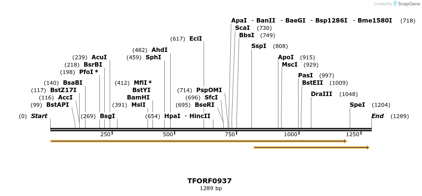 277417_map