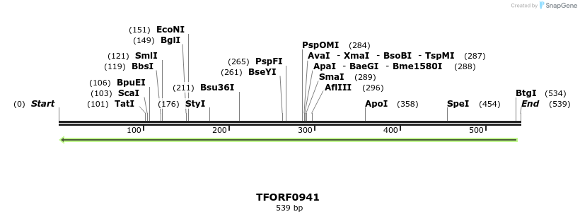 277423_map