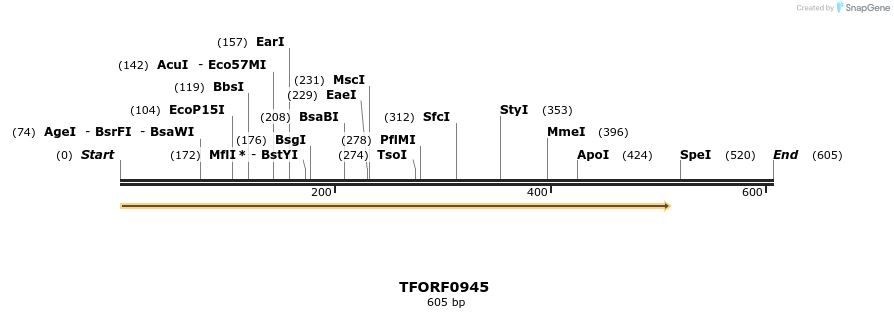 277426_map
