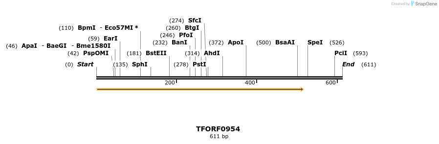 277429_map