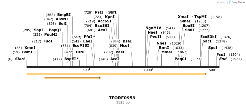 277435_map