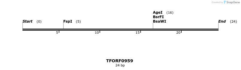 277436_map