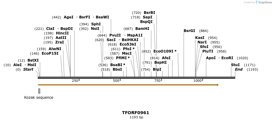 277438_map