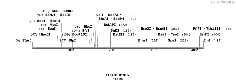 277441_map