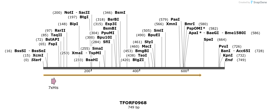 277444_map