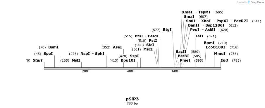 27745_map