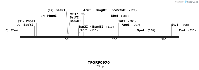 277450_map
