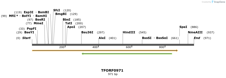 277453_map