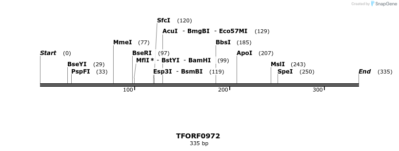 277456_map