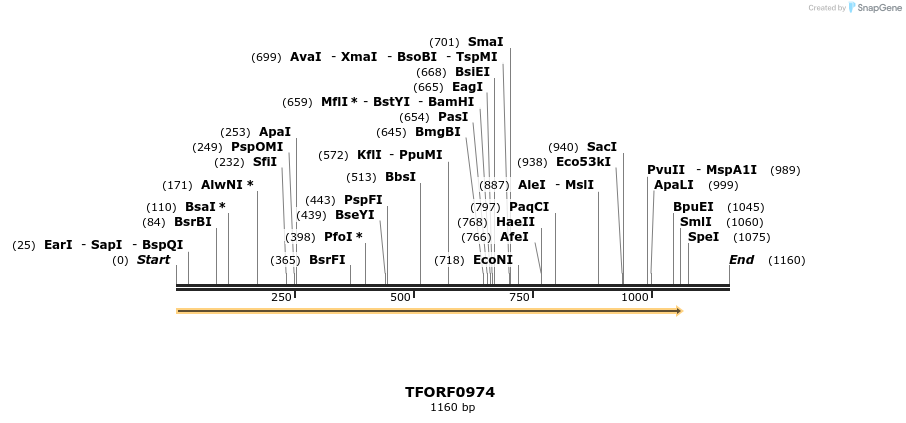 277459_map
