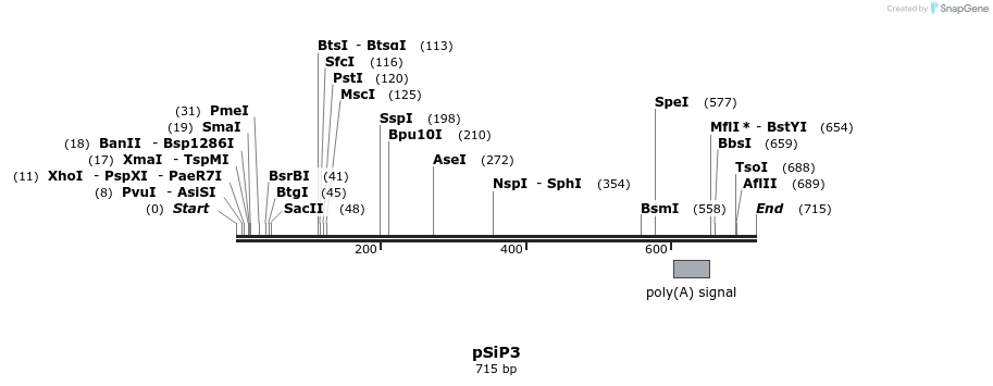 27746_map