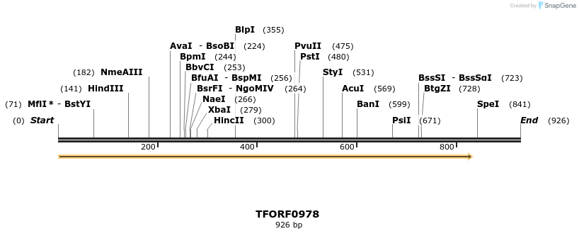 277462_map