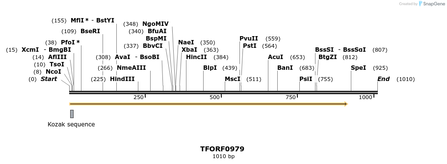 277465_map