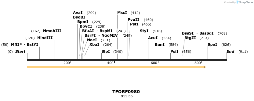 277468_map
