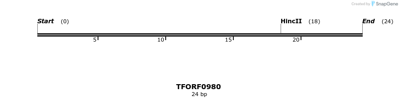 277469_map
