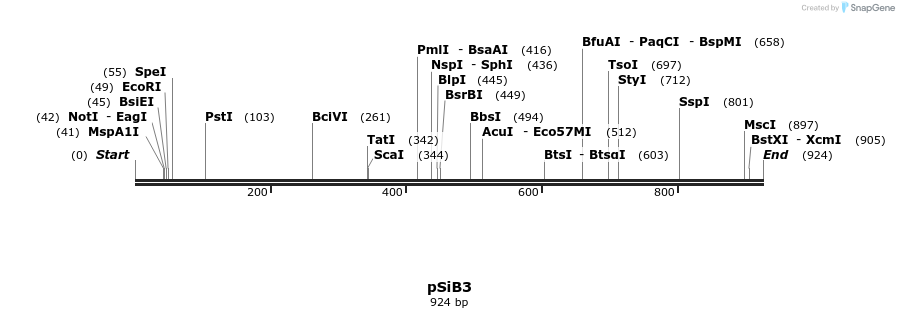27747_map