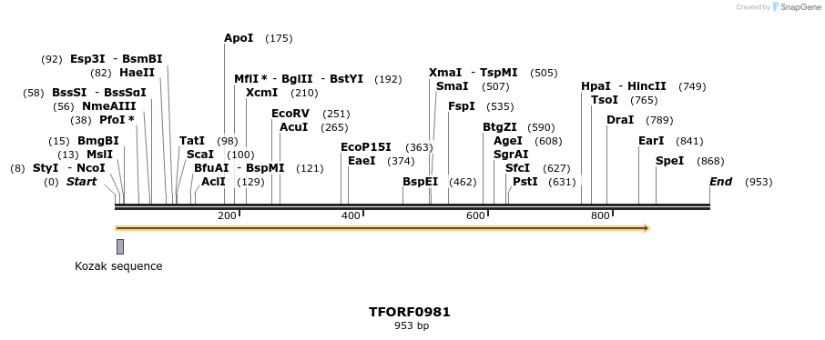 277471_map